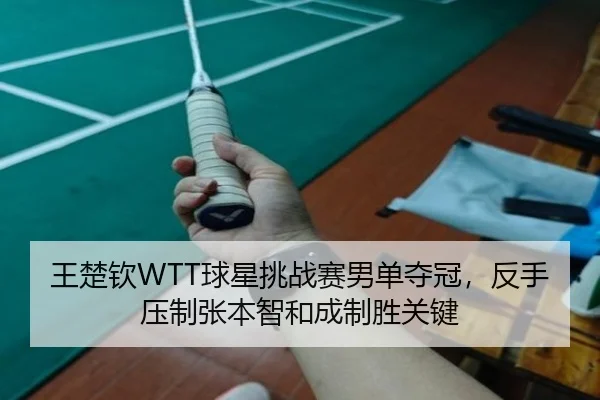 wang-chu-qin-qiu-xing-tiao-zhan-sai-nan-dan-duo-guan-fan-shou-ya-zhi-zhang-ben-zhi-he-cheng-zhi-sheng-guan-jian-3-111.jpg